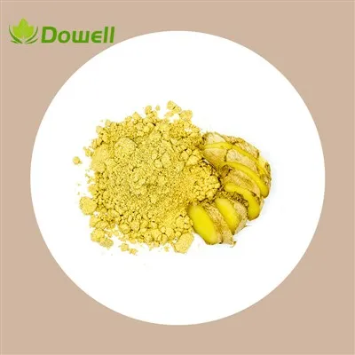 Pudră de extract de rădăcină de ghimbir